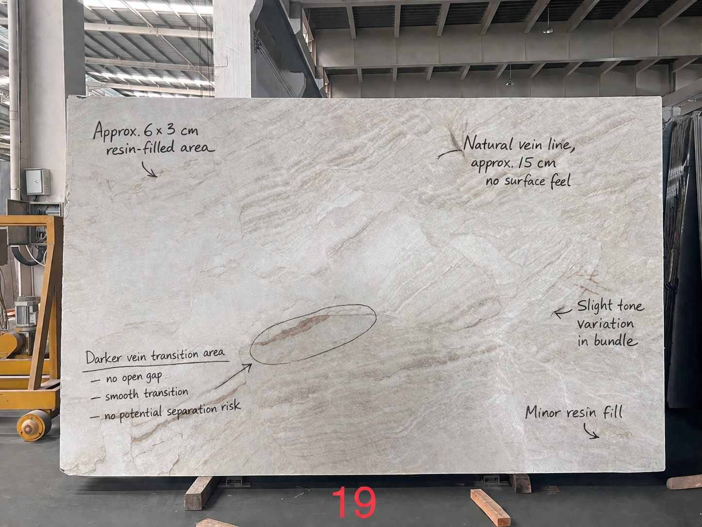 Studio-grade photographic documentation